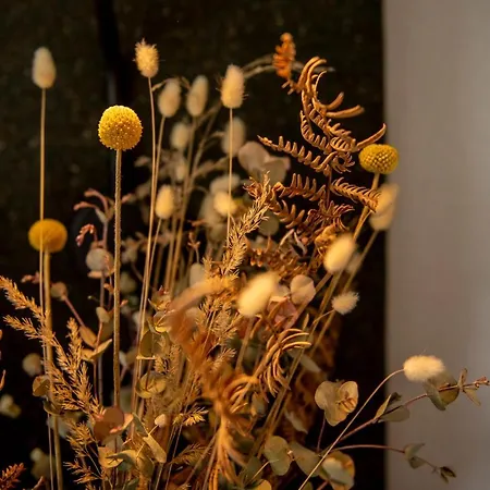 ホテル Flem Mountain