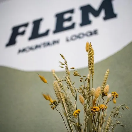 Flem Mountain 필름