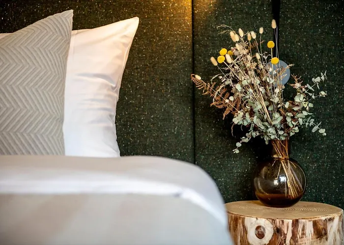 Flem Mountain Hotel Flims