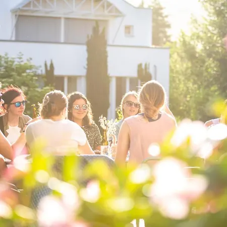 Flem Mountain 3* Flims