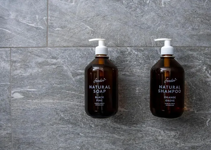 Flem Mountain Hotel Flims